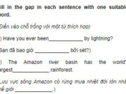 Câu 3 Unit 9 Trang 88 SBT Tiếng Anh 9: Scientists are very interested in tidal power. They are thinking of how to use the rise and fall of the tide to produce electricity