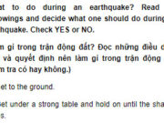 Câu 9 Unit 9 Trang 93 SBT Tiếng Anh 9: If you are indoors, stay inside until shaking stops and it is safe to go outside