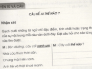 Luyện từ và câu : Câu kể ai thế nào ? trang 13 Vở bài tập Tiếng Việt lớp 4 tập 2: Gạch dưới những từ ngữ chỉ các sự vật được miêu tả trong mỗi câu văn trên. Đặt câu hỏi cho các từ ngữ vừa tìm được