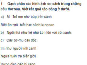 Luyện từ và câu – Tuần 7 trang 30 Vở bài tập (SBT) Tiếng Việt 3 tập 1: Tìm và viết lại một số từ ngữ chỉ hoạt động, trạng thái trong bài tập làm văn cuối tuần 6 của em 