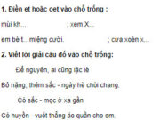 Chính tả – Tuần 10 trang 51 Vở bài tập Tiếng Việt 3 tập 1: Viết lời giải câu đố vào chỗ trống