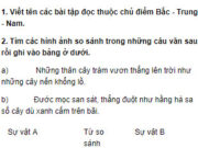 Tiết 2 – Tuần 18 trang 91 VBT Tiếng Việt 3 tập 1: Từ biển trong câu “Từ trong biển lá xanh rờn, ngát dậy một mùi hương lá tràm bị hun nóng dưới mặt trời”, có nghĩa là gì ? Đánh dấu X vào □ thích hợp 