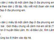 Tập làm văn – Luyện tập tả cảnh trang 50, 51 Vở bài tập (SBT) Tiếng Việt lớp 5 tập 1: Dựa theo dàn ý đã lập, hãy viết một đoạn văn miêu tả cảnh đẹp ở địa phương em