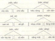 Chính tả – Tuần 2 trang 6 VBT Tiếng Việt 3 tập 1: Chọn chữ trong ngoặc đơn điền vào chỗ trống