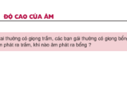 Bài 11.7, 11.8, 11.9, 11.10, 11.11 trang 27 SBT Lý 7: Tại sao khi biểu diễn đàn bầu, người nghệ sĩ thường dùng tay uốn cần đàn