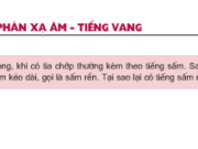 Bài 14.7, 14.8, 14.9, 14.10, 14.11 trang 32, 33 Sách BT Lý 7: Những vật nào sau đây hấp thụ âm tốt