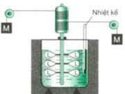 Bài 27.11, 27.12, 27.13 trang 76 SBT Lý 8: Xác định tỉ số độ tăng nhiệt độ của hai miếng kim loại