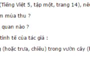 Tập làm văn – Luyện tập tả cảnh trang 7, 8 Vở bài tập Tiếng Việt lớp 5 tập 1: Lập dàn ý bài văn tả cảnh một buổi sáng (hoặc trưa, chiều) trong vườn cây (hay trong công viên, trên đường phố, trên cánh đồng, nương rẫy)