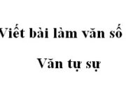 Soạn bài Viết bài làm văn số 3 Văn tự sự ngắn gọn nhất Văn 10: Hãy hóa thân vào những que diêm để kể lại câu chuyện theo diễn biến và kết thúc truyện ngắn Cô bé bán diêm của An-đéc-xen