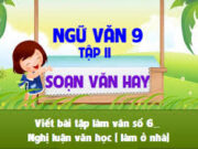 Soạn bài Viết bài tập làm văn số 6 – Nghị luận văn học trang 69 Văn 9 (ngắn gọn): Suy nghĩ của em về tình mẫu tử trong đoạn trích “Trong lòng mẹ”