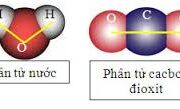 Giải bài 6.5, 6.6, 6.7, 6.8 trang 8, 9 SBT Hóa học 8: Phân tử chất nào nặng nhất, chất nào nhẹ nhất ?