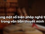 Soạn bài Sử dụng một số biện pháp nghệ thuật trong văn bản thuyết minh Văn 9 trang 12 ngắn gọn nhất: Văn bản có tính chắt thuyết minh không?