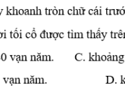 Bài 13. Việt Nam thời nguyên thủy SBT Sử lớp 10: Người tối cổ sinh sống theo phương thức nào ?