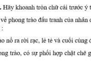 Bài 16. Thời Bắc thuộc và các cuộc đấu tranh giành độc lập dân tộc (từ thế kỉ II TCN đến đầu thế kỉ X) (tiếp theo) SBT Sử lớp 10: Hai Bà Trưng nổi dậy khởi nghĩa năm 40 tại đâu ?