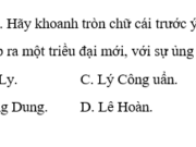 Bài 20. Xây dựng và phát triển văn hóa dân tộc trong các thế kỉ X-XV SBT Sử lớp 10: Chùa chiền được xây dựng nhiều dưới thời nào ?