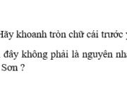 Bài 26. Tình hình xã hội ở nửa đầu thế kỉ XIX và phong trào đấu tranh của nhân dân- SBT Sử lớp 10: Cuộc khởi nghĩa do Phan Bá Vành lãnh đạo diễn ra vào năm nào ?