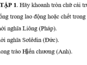 Bài 36. Sự hình thành và phát triển của phong trào công nhân SBT Sử lớp 10: Nguyên nhân sâu xa làm xuất hiện chủ nghĩa xã hội không tưởng là gì ?