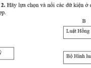 Bài 18. Công cuộc xây dựng và phát triển kinh tế trong các thế kỉ X-XV SBT Sử lớp 10: Ruộng đất công làng xã thời Lê được phân chia theo chế độ nào?