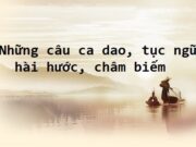 Soạn bài Ca dao hài hước ngắn gọn nhất Văn 10: Những biện pháp nghệ thuật thường được sử dụng trong ca dao hài hước