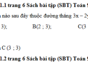 Bài 1.1, 1.2 trang 6 SBT Toán 9 tập 2: Trong mỗi trường hợp sau, hãy xác định đường thẳng ax + by = c đi qua 2 điểm M và N cho trước