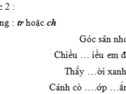 Chinh tả – Tuần 25 Trang 33 VBT Tiếng Việt lớp 3 tập 2: Điền vào chỗ trống: ưt hoặc ưc