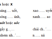 Chính tả – Tuần 20 Trang 9 VBT Tiếng Việt lớp 3 tập 2: Đặt câu với môi từ đã được hoàn chỉnh ở bài tập như sáng suốt, xao xuyến