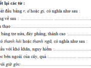 Chính tả – Tuần 21 trang 14, 15 VBT Tiếng Việt 5 tập 2: Đặt dấu hỏi hoặc dấu ngã trên chữ in đậm trong mẩu chuyện vui sau