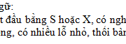Chính tả – Tuần 24 Trang 27 Vở bài tập Tiếng Việt 3 tập 2: Tìm các từ ngữ chỉ hoạt động chứa tiếng bắt đầu bằng s, x