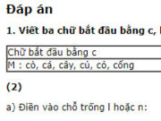 Chính tả – Tuần 10 trang 47 VBT Tiếng Việt lớp 2 tập 1: Đặt trên chữ in đậm dấu hỏi hoặc dấu ngã: dạy bảo – cơn bão