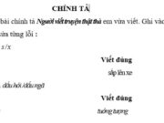 Chính tả – Tuần 6 trang 36 Vở bài tập Tiếng Việt 4 tập 1: Tìm từ láy ba từ có tiếng chứa âm s