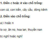 Chính tả – Tuần 10 trang 46 Vở BT Tiếng Việt 2 tập 1: Điền vào chỗ trống l hoặc n: lo sợ, ăn no, hoa lan, thuyền nan