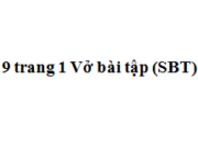 Chính tả – Tuần 19 trang 1 VBT Tiếng Việt lớp 4 tập 2: Điền các từ ngữ thích hợp vào chỗ trống: sắp sếp, sáng sủa, sản sinh, tinh sảo, bổ xung, sinh động