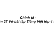 Chính tả – Tuần 27 trang 53 VBT Tiếng Việt lớp 4 tập 2:Chọn chữ viết đúng chính tả trong ngoặc đơn, điền vào chỗ trống để hoàn chỉnh các câu văn sau