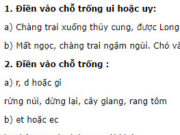 Chính tả – Tuần 17 trang 73 Vở BT Tiếng Việt 2 tập 1: Điền vào chỗ trống r, d hoặc gi: rừng núi, dừng lại, cây giang, rang tôm