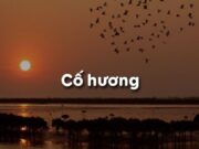 Soạn bài Cố hương môn Ngữ văn 9 trang 207 (ngắn gọn): Tìm bố cục của truyện