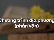 Soạn bài Chương trình địa phương Văn 8 trang 127 siêu ngắn: Văn bản nhật dụng ở lớp 8 đề cập những vấn đề gì?