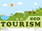 Reading – trang 37 Unit 10 SBT Tiếng Anh 10 Thí điểm: Why do ecotourists prefer a biking or walking tour to a bus tour?