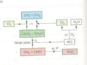 Bài 51. Dẫn xuất halogen của hidrocacbon: Giải bài 5, 6, 7, 8 trang 216 Sách Hóa 11 Nâng cao