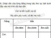 Chính tả – Tuần 17 trang 118 VBT Tiếng Việt 5 tập 1: Viết lại những tiếng bắt vần với nhau trong câu thơ trên