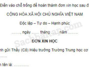 Tập làm văn – Ôn tập về viết đơn trang 121 Vở bài tập Tiếng Việt 5 tập 1: Em hãy viết đơn gửi Ban Giám hiệu xin được học môn tự chọn (về ngoại ngữ, tin học,…) hoặc đơn theo gợi ý của thầy cô