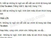 Tiết 4 – Ôn tập cuối học kì 1 trang 130 Vở bài tập Tiếng Việt 5 tập 1: Viết lại những từ ngữ, hình ảnh miêu tả em thích trong bài