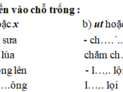 Chính tả – Tuần 24 trang 22 Vở bài tập Tiếng Việt 2 tập 2: Tên nhiều con vật thường bắt đầu bằng s (sói, sẻ, sứa,…). Em hãy viết thêm các tên khác