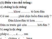 Chính tả – Tuần 34 trang 66 Vở bài tập Tiếng Việt 2 tập 2: Đặt dấu hỏi hoặc dấu ngã trên những in đậm 