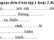 Chính tả – Tuần 20 trang 8 VBT Tiếng Việt 2 tập 2: Chọn từ ngữ thích hợp để điền vào chỗ trống (chiết, chiếc): chiết cành, chiếc lá