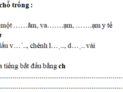 Chính tả – Tuần 30 trang 54 VBT Tiếng Việt 2 tập 2: Đặt câu với từ chứa tiếng bắt đầu bằng ch