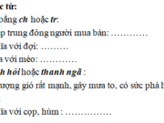 Chính tả – Tuần 34 trang 68 VBT Tiếng Việt 2 tập 2: Có thanh hỏi hoặc thanh ngã, chỉ các đồ dùng: tủ, đũa, muỗng, giỏ, mũ, đĩa, nĩa, sổ, chảo, chổi, vải, quyển vở