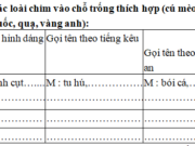 Luyện từ và câu – Tuần 21 trang 11 VBT Tiếng Việt lớp 2 tập 2: Dựa vào các bài tập đọc Chim sơn ca và bông cúc trắng. Thông báo của thư viện vườn chim (sách Tiếng Việt 2, tập hai, trang 23, trang 26, trả lời những câu hỏi sau: Bông cúc trắng mọc ở đâu?