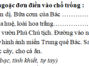 Luyện từ và câu – Tuần 31 trang 57 VBT Tiếng Việt lớp 2 tập 2: Tìm những từ ngữ ca ngợi Bác Hồ  M : sáng suốt, kiên cường, lỗi lạc, kiệt xuất, vĩ đại, yêu nước, nhân hậu, giản dị