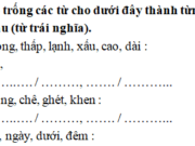 Luyện từ và câu – Tuần 32 trang 60 VBT Tiếng Việt 2 tập 2: Chọn dấu chấm hoặc dấu phẩy điền vào mỗi □ trong đoạn sau 