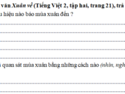 Tập làm văn – Tuần 20 trang 9 VBT Tiếng Việt 2 tập 2: Hãy viết một đoạn văn (từ 3 đến 5 câu) nói về mùa hè theo các gợi ý sau 